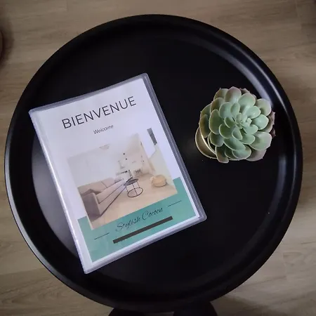 Stylish Cocoon: Confort Au Coeur De Apartment Pau